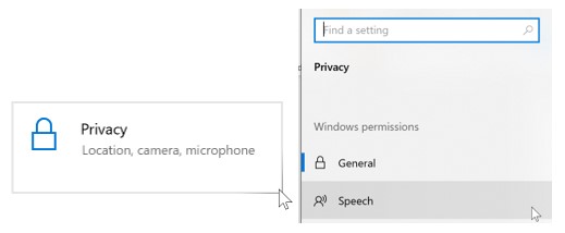 img ToWindows Dictation App 2