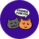 icon fun fact (2)